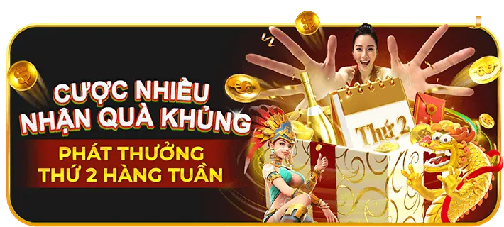 Bước 4: Bắt đầu săn cá và nhận thưởng