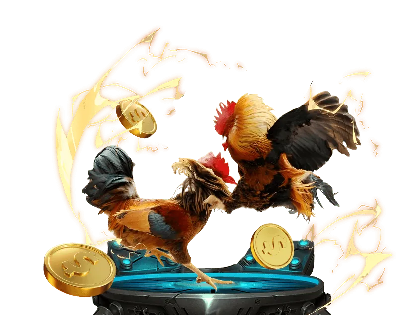 Cá cược đá gà 789WIN trực tiếp các trận đấu kịch tính